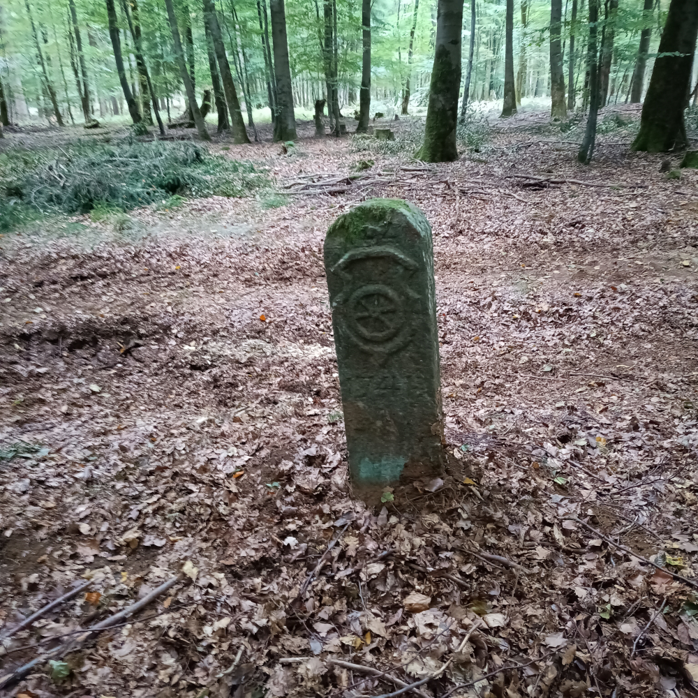 Grenzstein mit Mainzer Rad