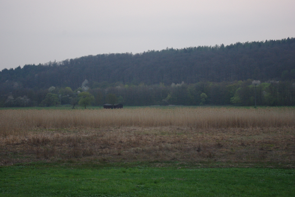 Blick auf das Naturschutzgebiet