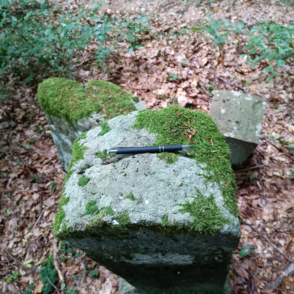 Stift liegt in der Weisung, die den Grenzverlauf anzeigt