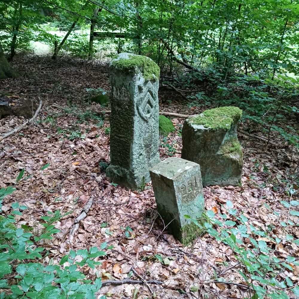Grenzstein mit Hanauer Sparren