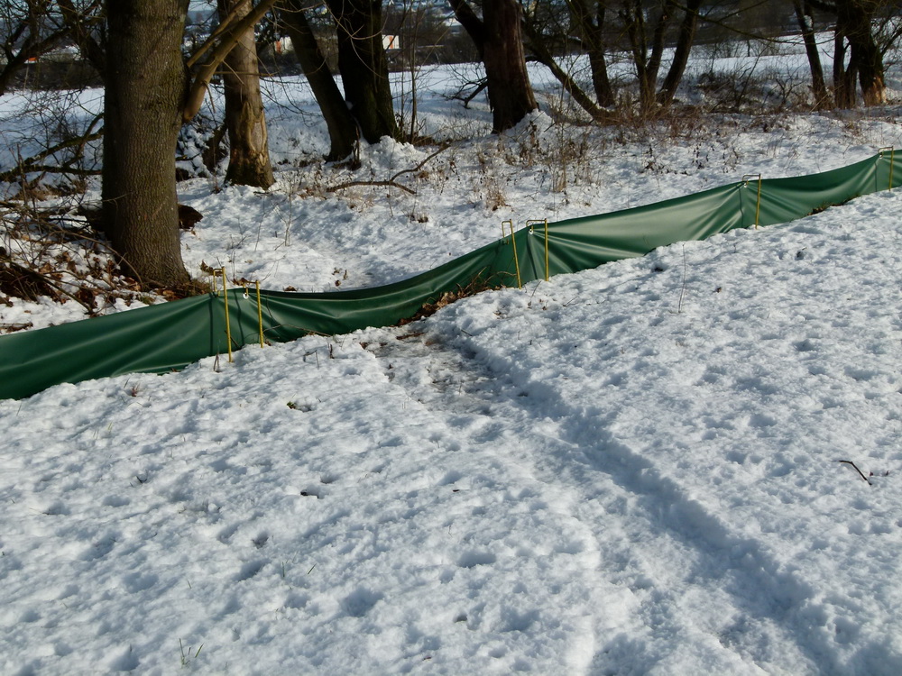 Spuren im Schnee Foto: Jörg Ossenbühl