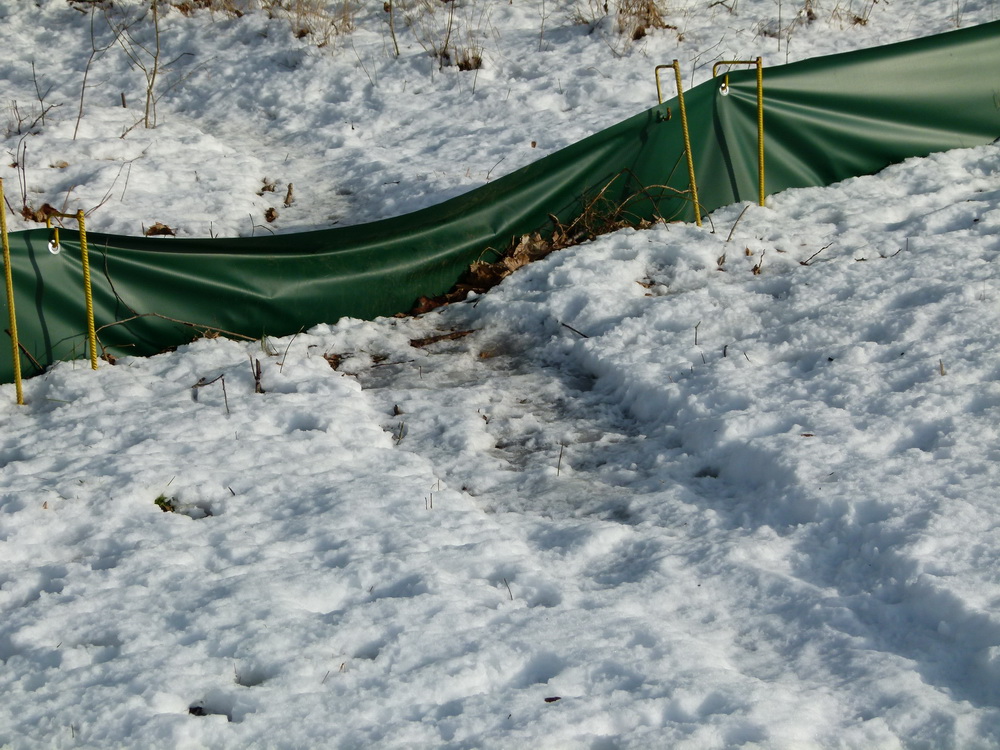 Spuren im Schnee Foto: Jörg Ossenbühl