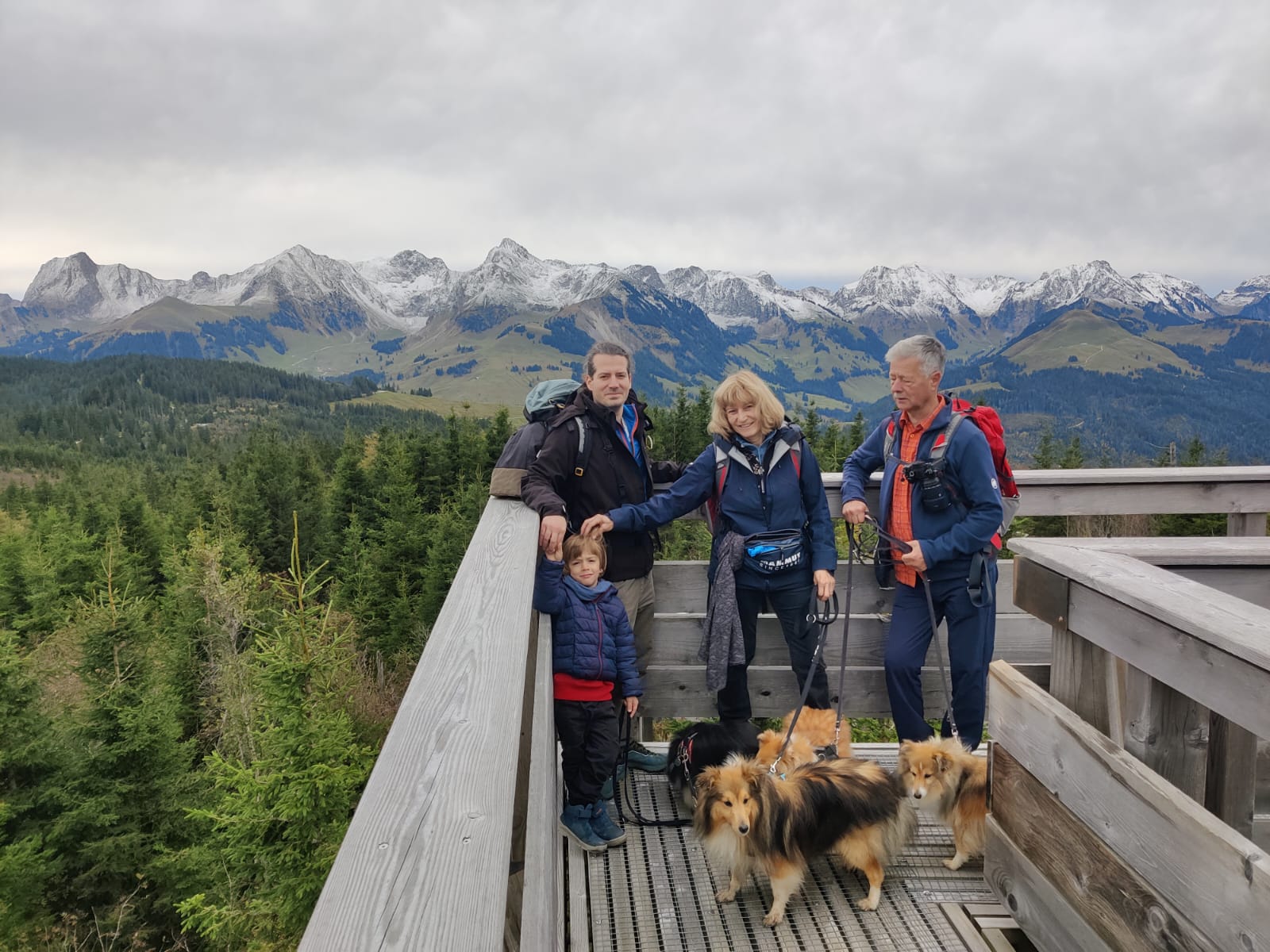 Herbst mit unseren Shelties