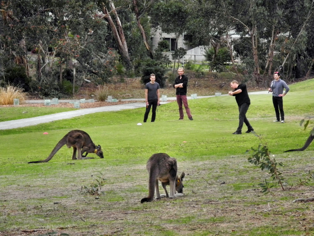 Raenmäher auf australisch