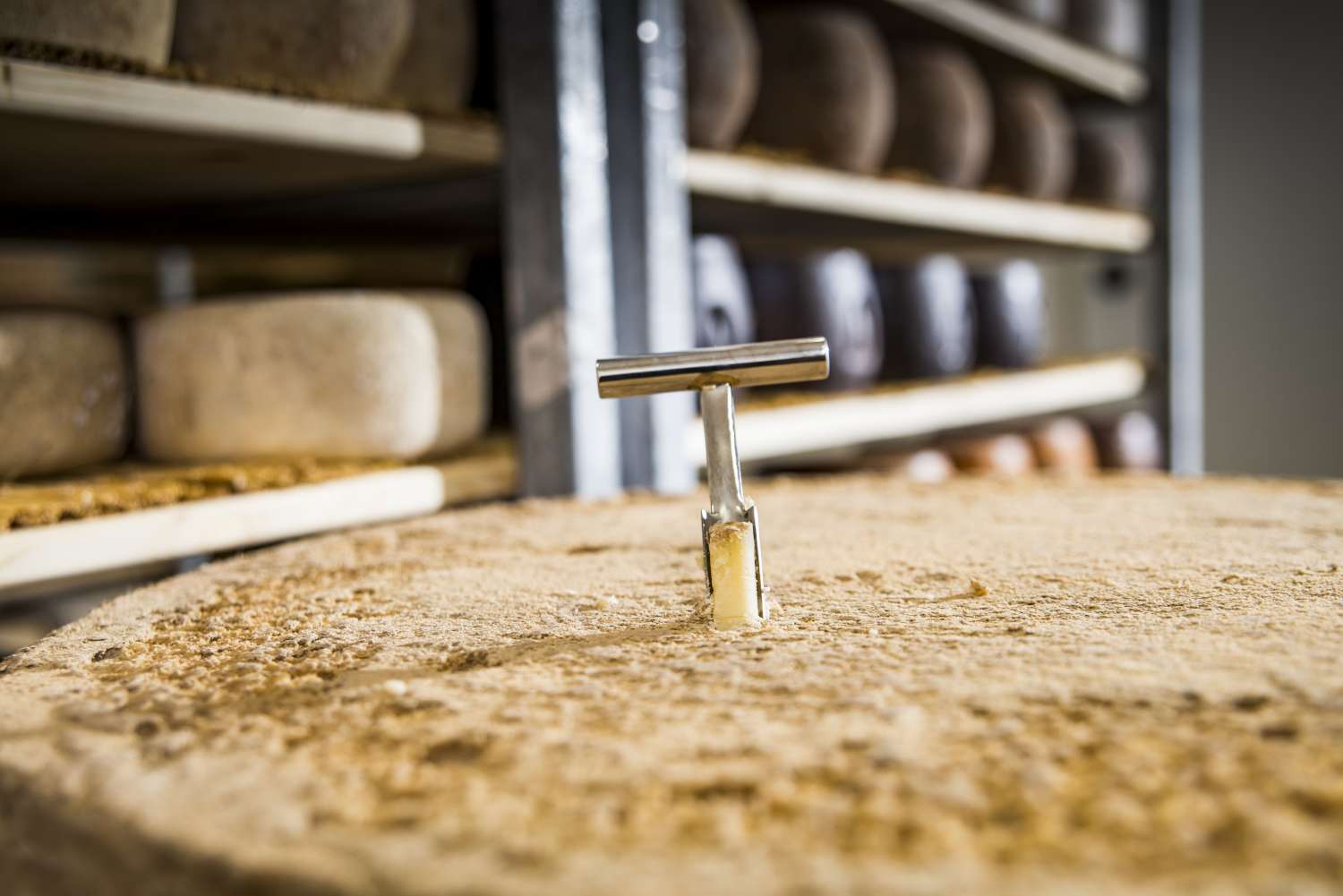 Qualitätskontrolle bei HEMMEN: Mit dem Bohrer wird ein kleines Stück Käse aus dem Inneren entnommen, um Reifegrad, Konsistenz und Aroma zu prüfen.