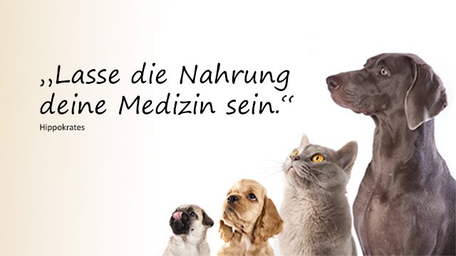 TERRA-PURA entspricht dem Wunsch vieler Tierhalter nach artgerechter Ernährung, um die Gesundheit ihrer Vierbeiner zu fördern.