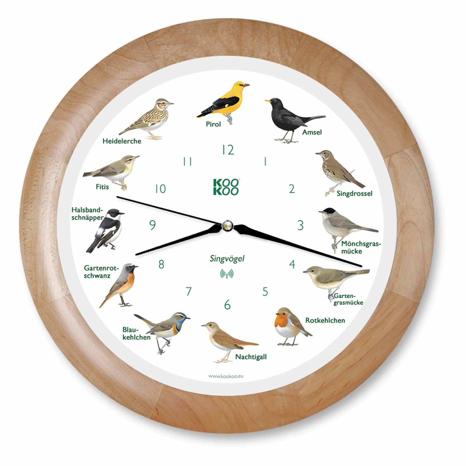 KOOKOO Singvögel mit RC Funkquarzwerk, Aufnahmen aus der Natur.