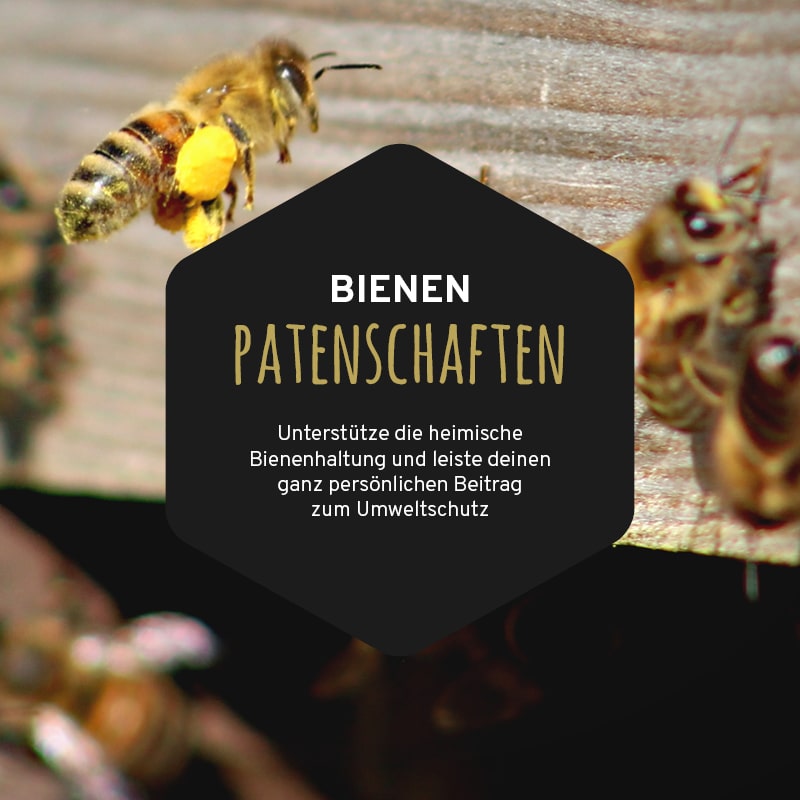 BIENEN PATENSCHAFTEN bei WEBER, der Imkerei mit der Goldnote.