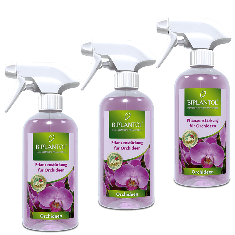 Pflanzen stärken mit BIPLANTOL® Orchideen Spray.