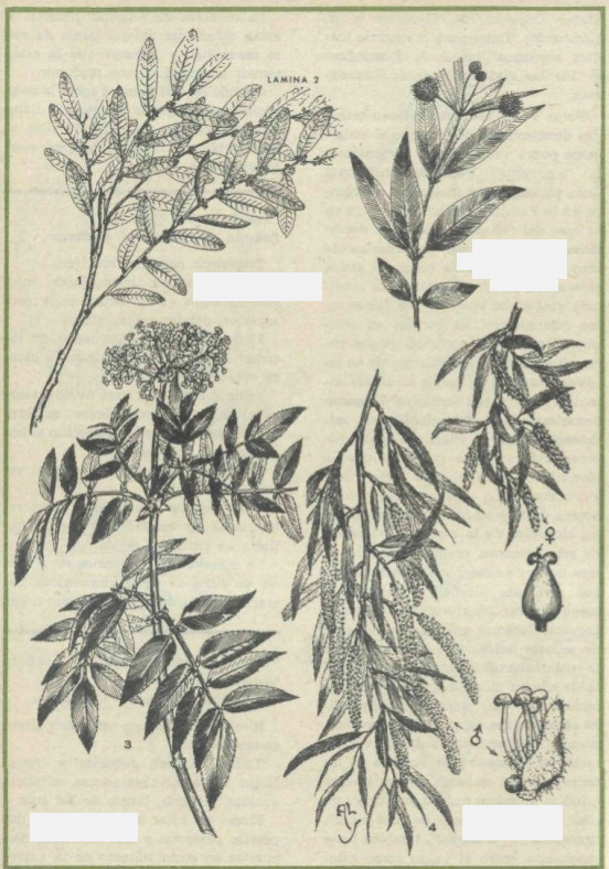 006B