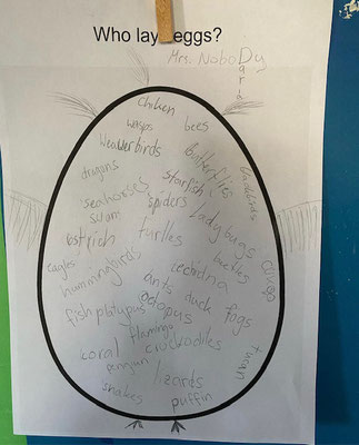 Children's descriptive writing activity exploring imaginative vocabulary and storytelling.