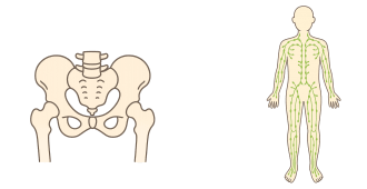 骨盤とリンパの講座