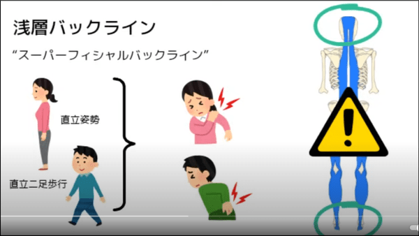 浅層バックライン