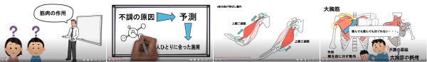 筋肉の作用（YouTube動画の画像）