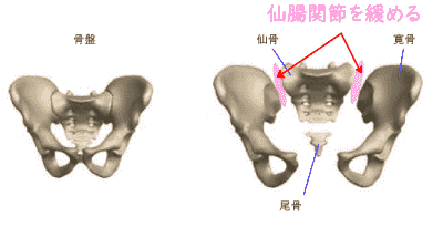 腸セラピー（腸揉み）で仙腸関節を緩める