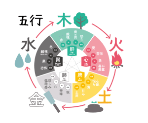 東洋医学の五行：イラスト