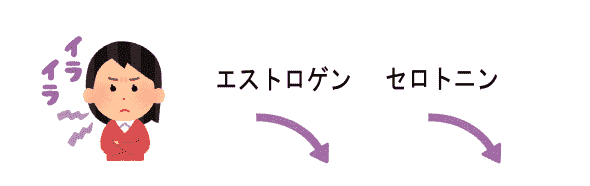 生理時のエストロゲンとセロトニン