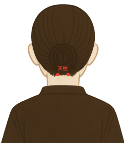 天柱(てんちゅう) の位置