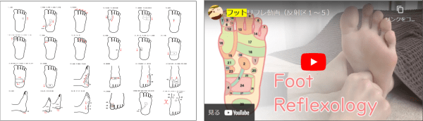 フットリフレクソロジーの動画学習（講座の前の予習）