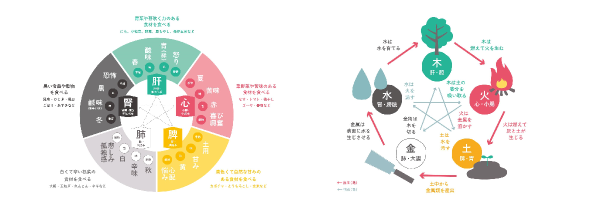 ※イメージ図（東洋医学・五行講座）