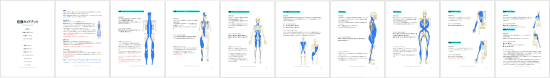 筋膜ガイドブックのイラスト
