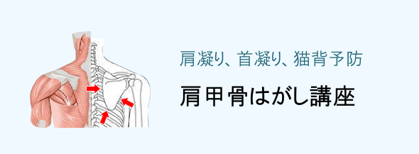 肩甲骨はがし講座（ヘッドライフ）