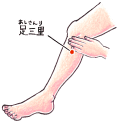 足三里のツボ（位置）