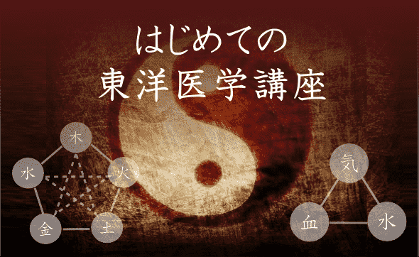 はじめての東洋医学講座 - ヘッドマッサージ講座のヘッドライフ