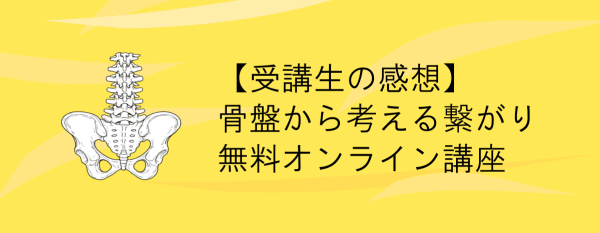イメージ画像｜【繋究力を高めよう】骨盤から考える繋がり｜受講生の感想