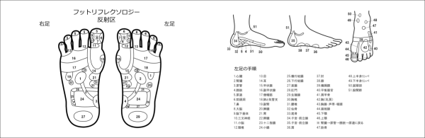反射区の効果一覧