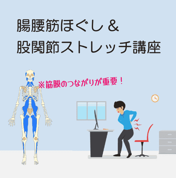 腸腰筋ほぐしと股関節ストレッチ講座