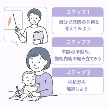 セラピスト向けオンライン：筋肉の作用を学ぶ３ステップ