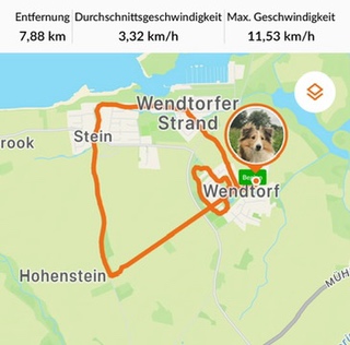 23.09.2024: Merlin