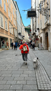 18.09.2024: Smilla (4J) und Neve (3J) sind 8,2km in und um Salzburg gekaufen.