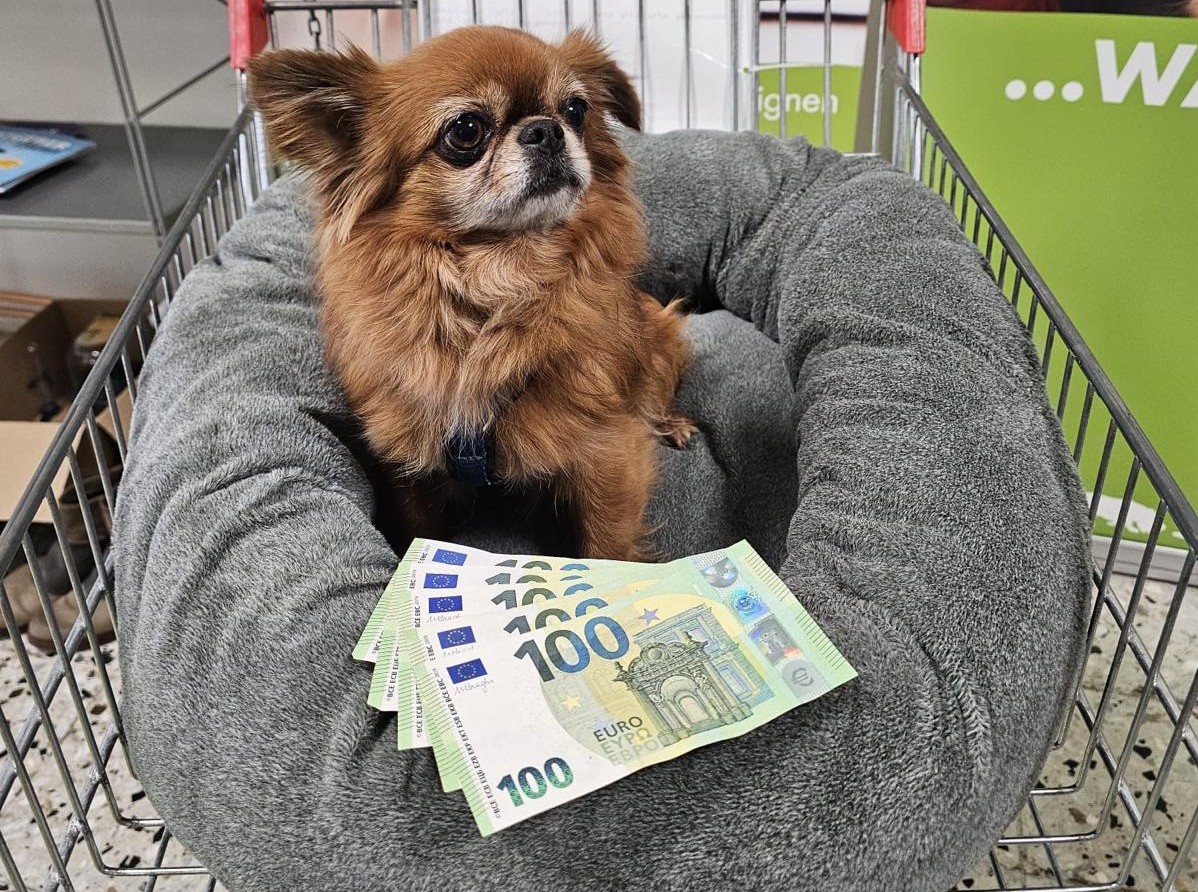 Überraschung zum bevorstehenden Hochzeitstag
