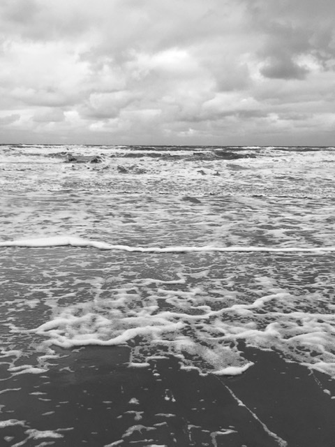 Foto: Martin Heß (2016) Nordsee
