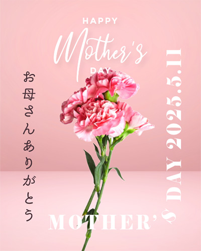 5月11日は母の日です