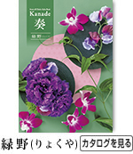奏 緑野　7,800円コース