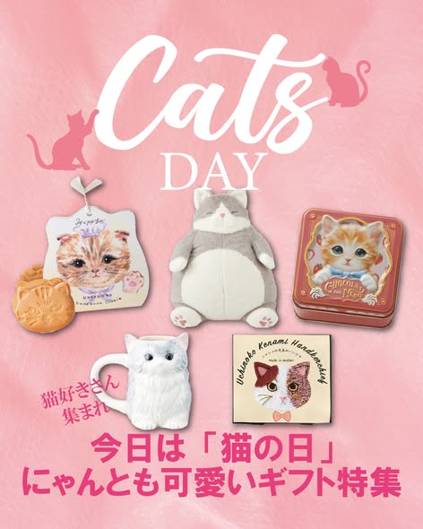 2.22 CAT DAY SPECIAL