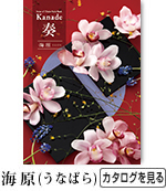 奏　海原　50,800円コース
