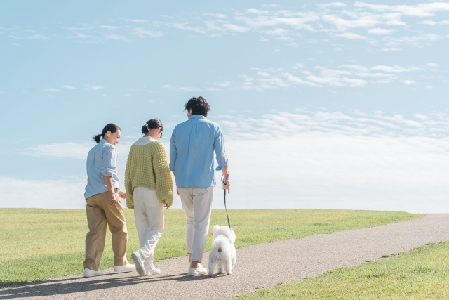 ウォーキングしてるのに全然痩せない