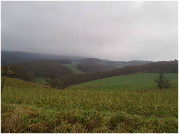 Potzbergblick - radtouren-westpfalzs Webseite!