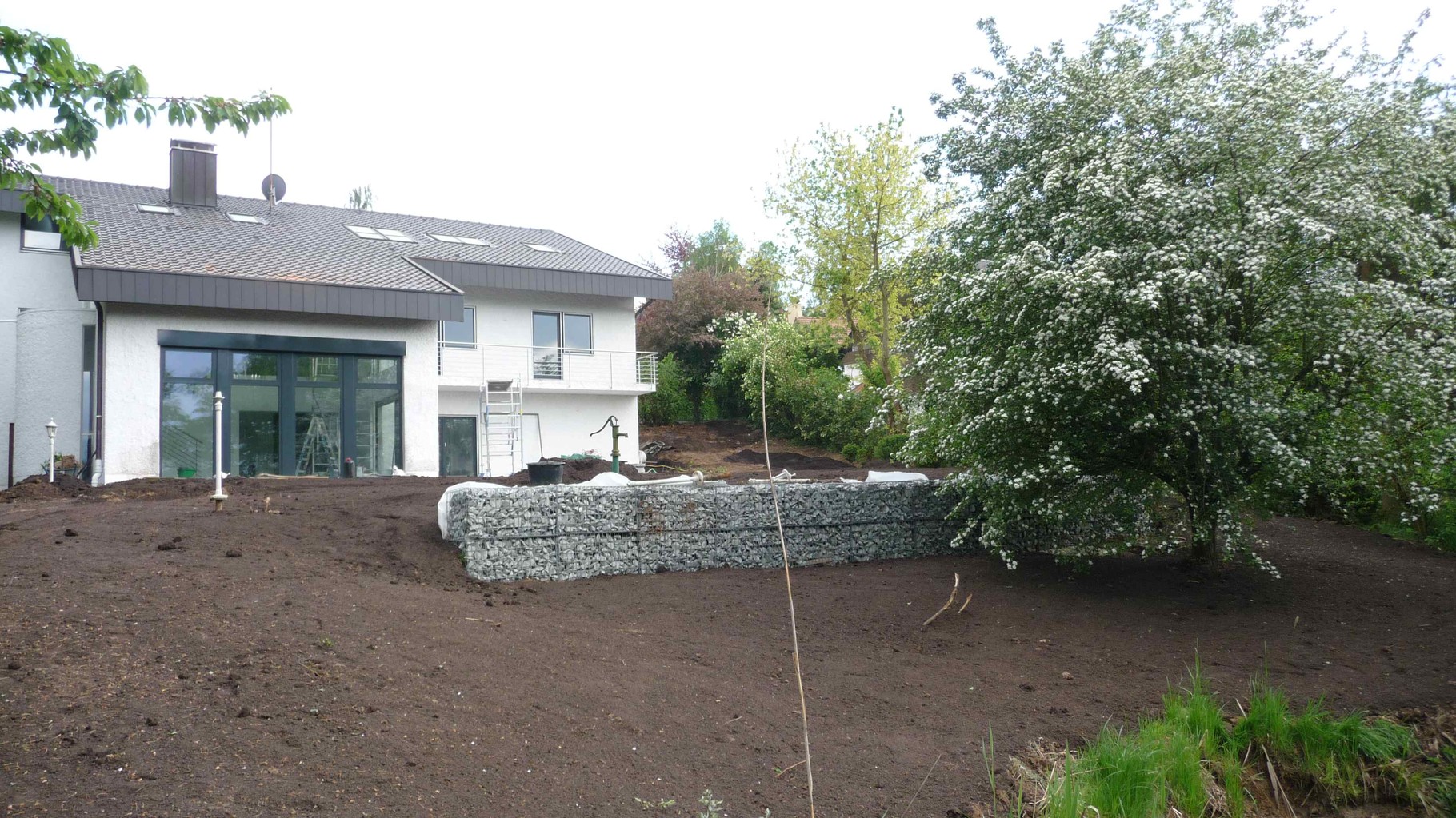 Der Rasen - GartenXclusiv