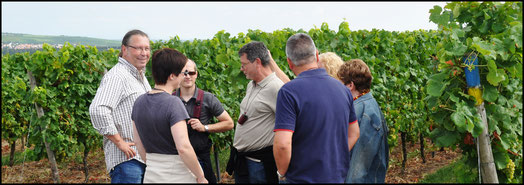 Foto einer Weinwanderung vom Weingut Boller-Klonek