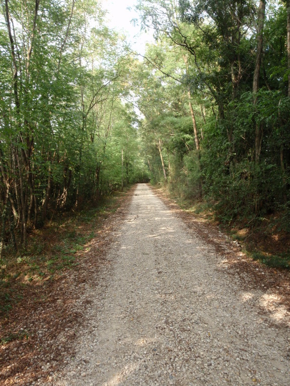 Chemins de balade autour des écuries