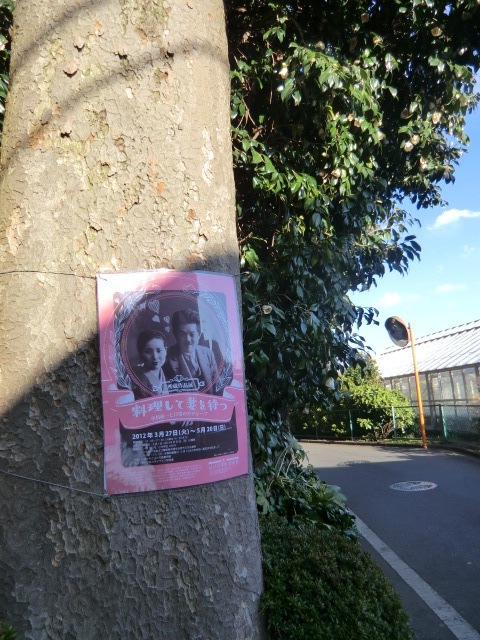 近くの道横の大木に貼られていたポスター