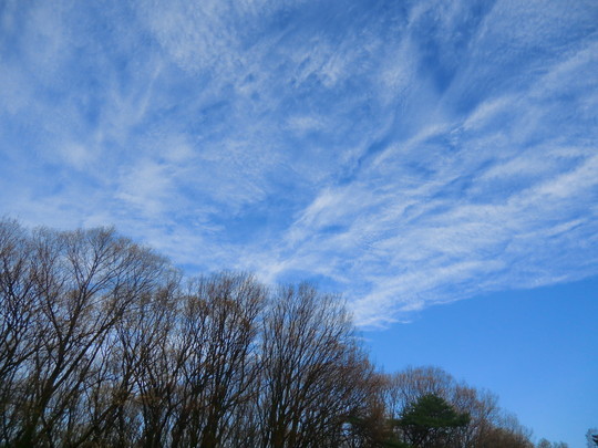 空がきれいに見えてきた