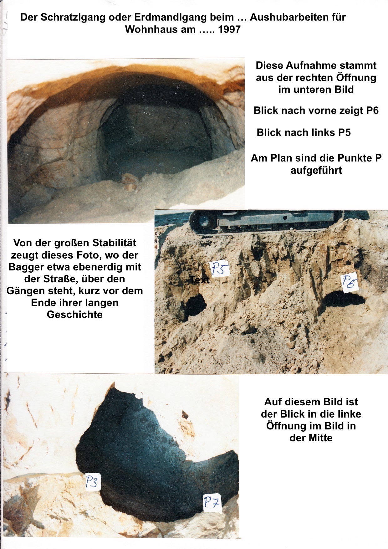 Quelle: Arbeitskreis Dorfgeschichte Oberdiendorf 1997