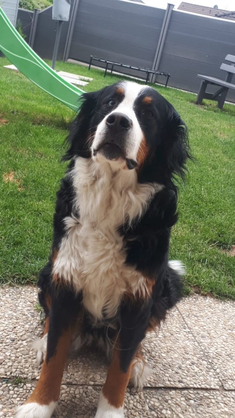 Lilly