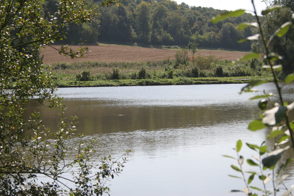 L'Etang
